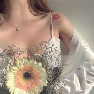 冰球火球历险记2